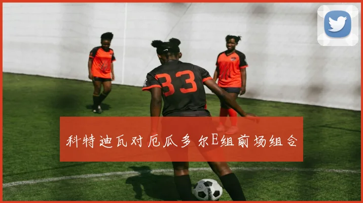 科特迪瓦对厄瓜多尔E组前场组合