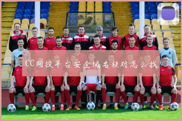 CC网投平台安全域名核对怎么找