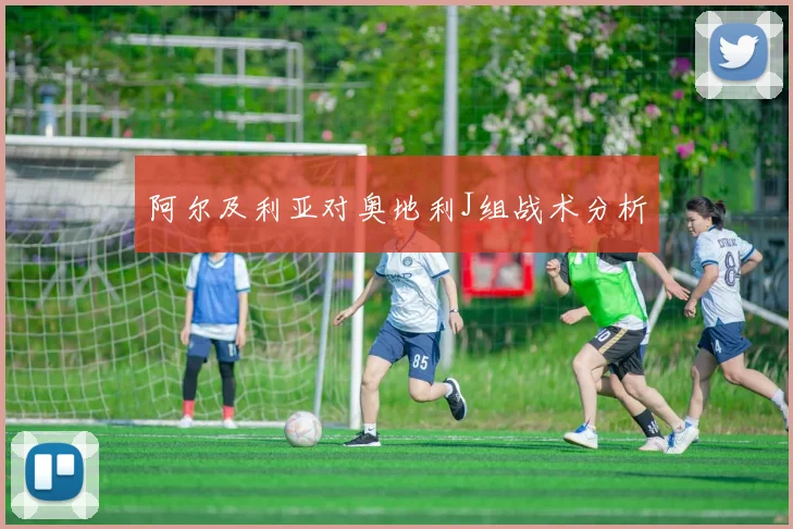 阿尔及利亚对奥地利J组战术分析