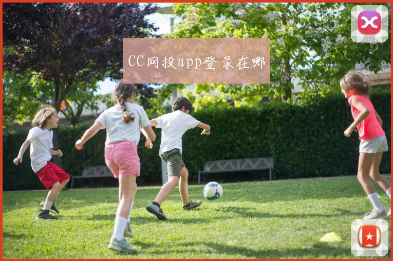 CC网投app登录在哪
