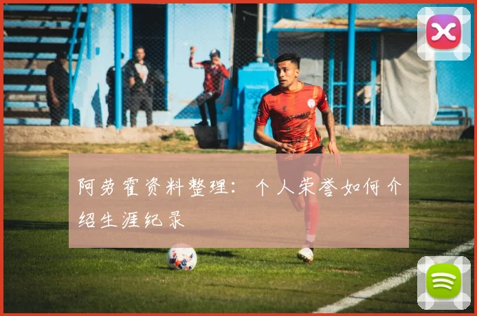 阿劳霍资料整理：个人荣誉如何介绍生涯纪录