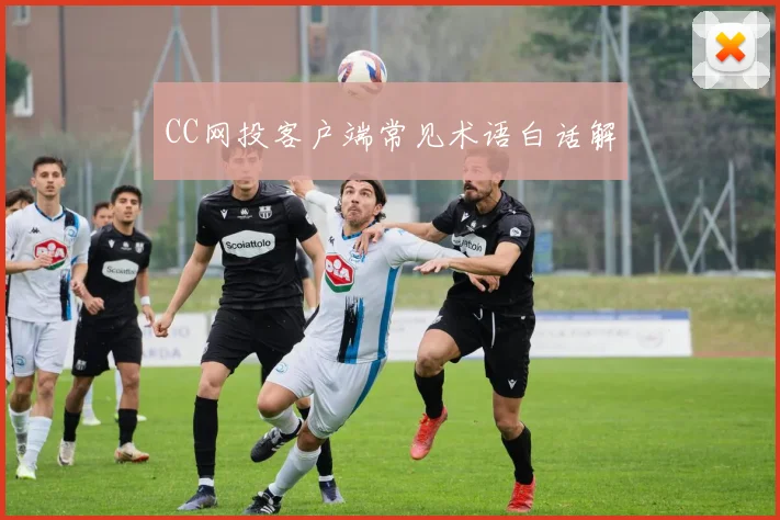 CC网投客户端常见术语白话解