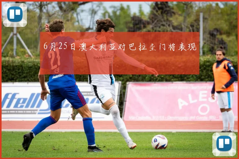 6月25日澳大利亚对巴拉圭门将表现