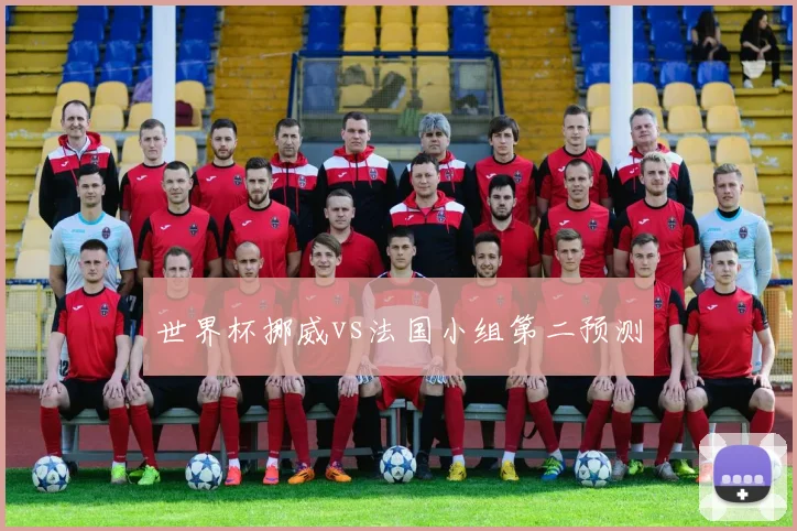世界杯挪威vs法国小组第二预测